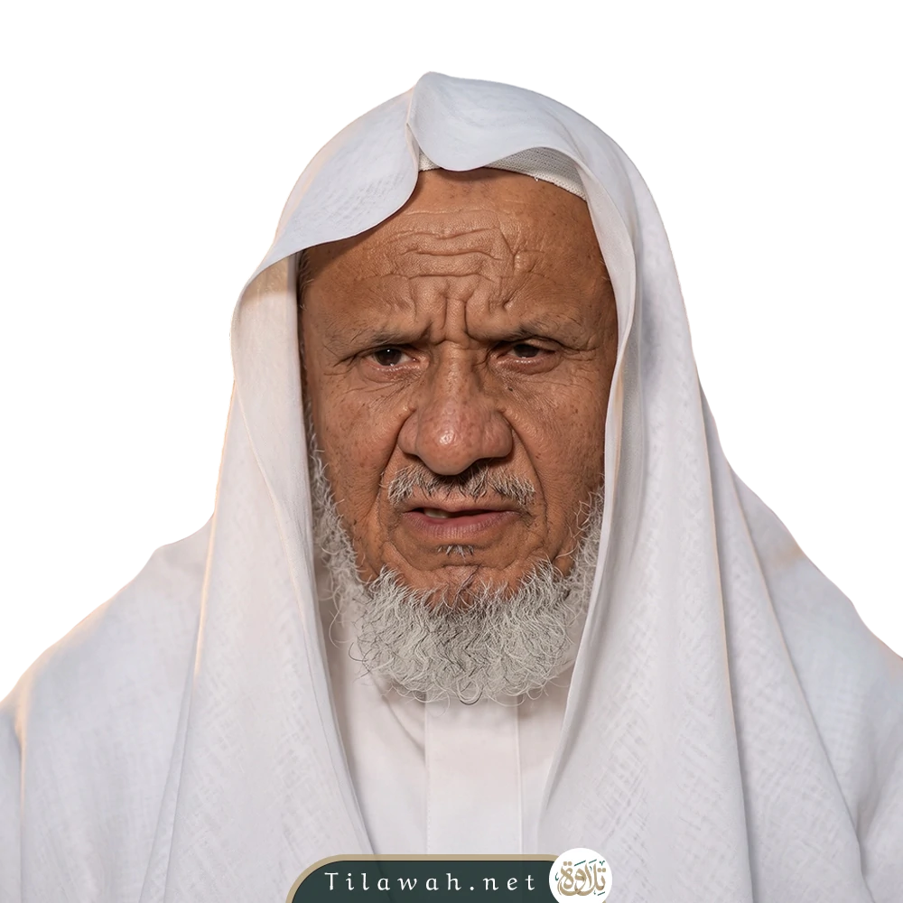 أحمد خليل شاهين