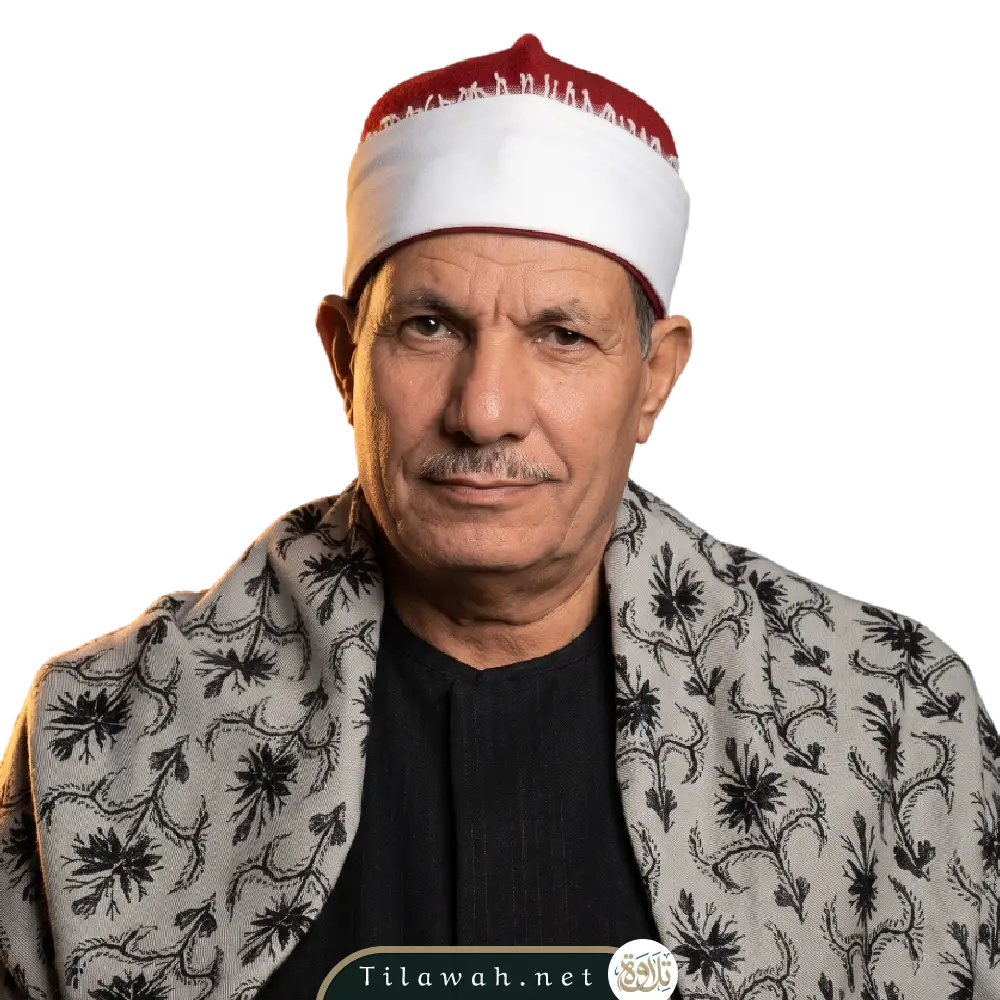 محمد السيد ضيف