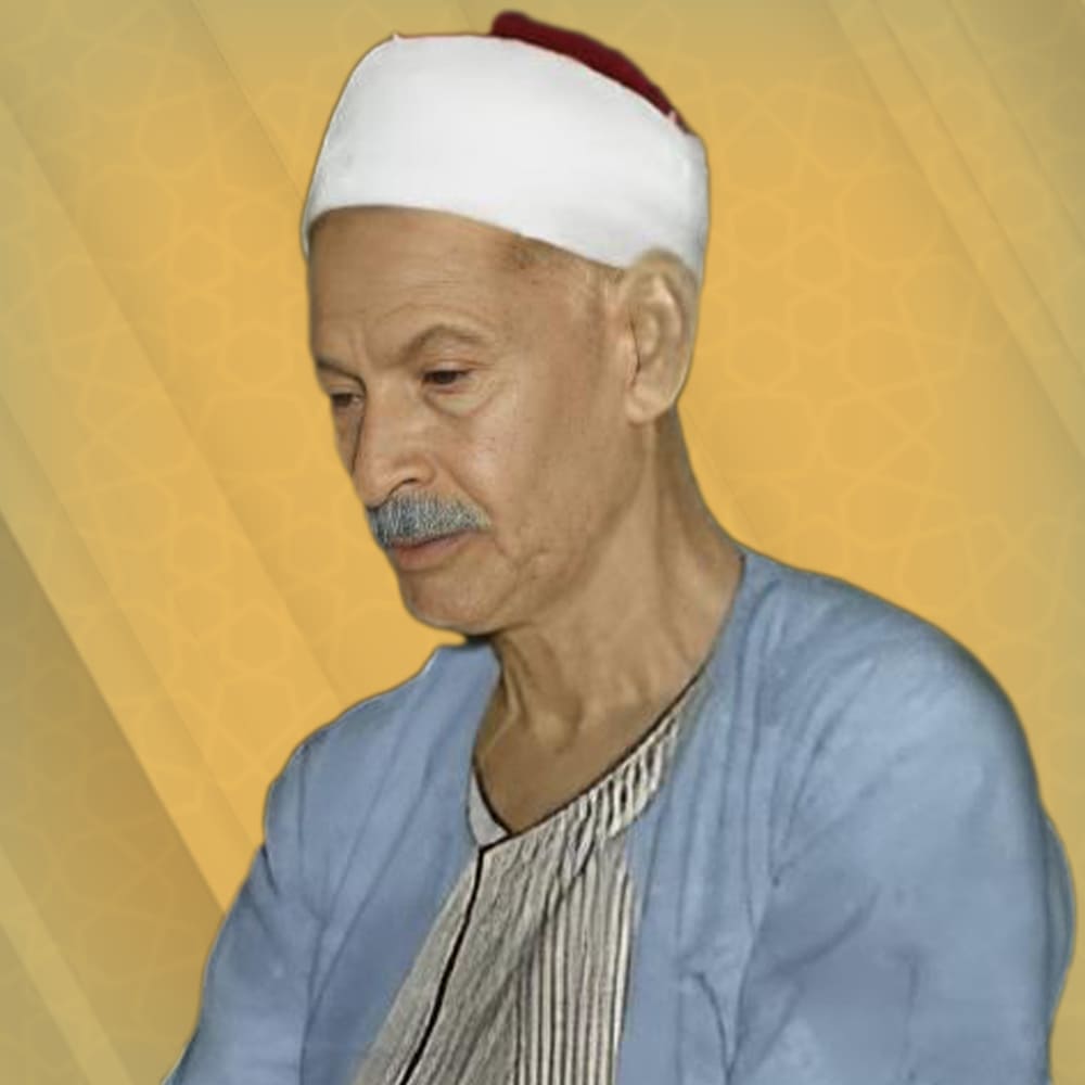 صديق تايب المنشاوي