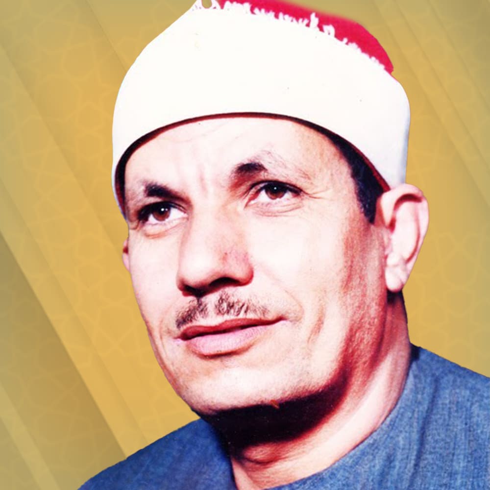 محمد السيد ضيف