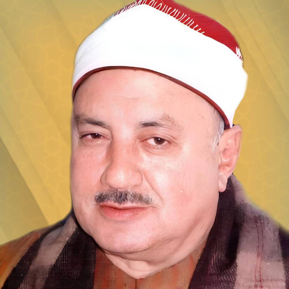 محمد الطوخي