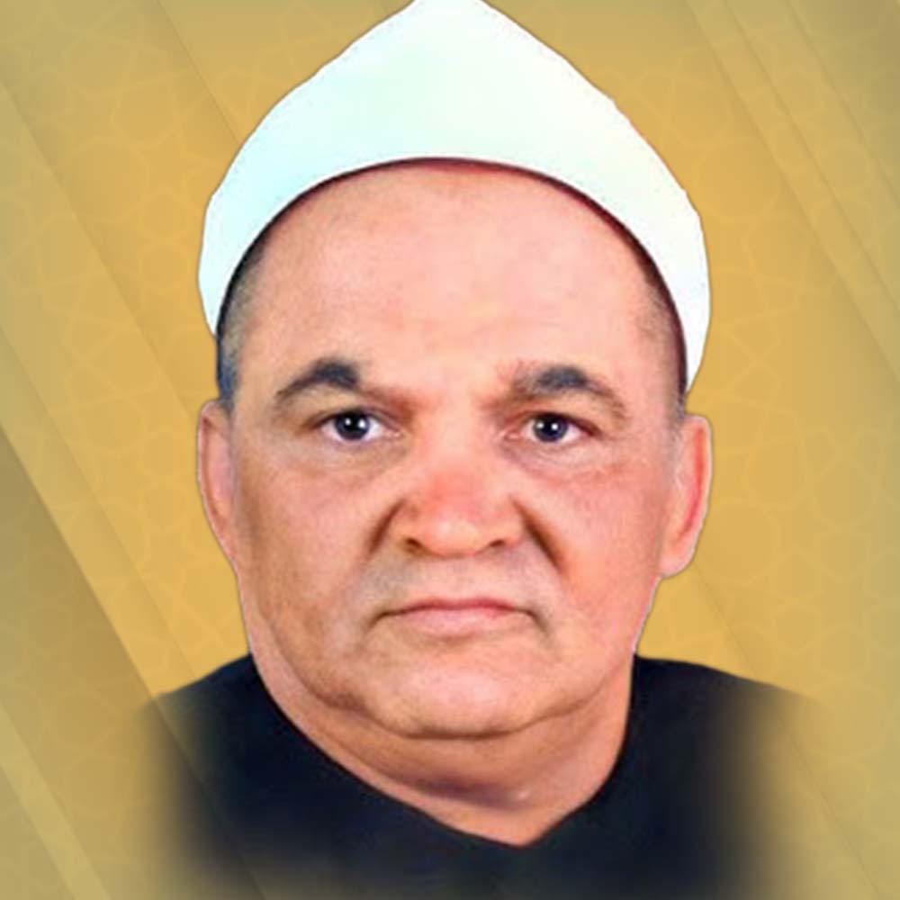 ابراهيم حسن البرادعي