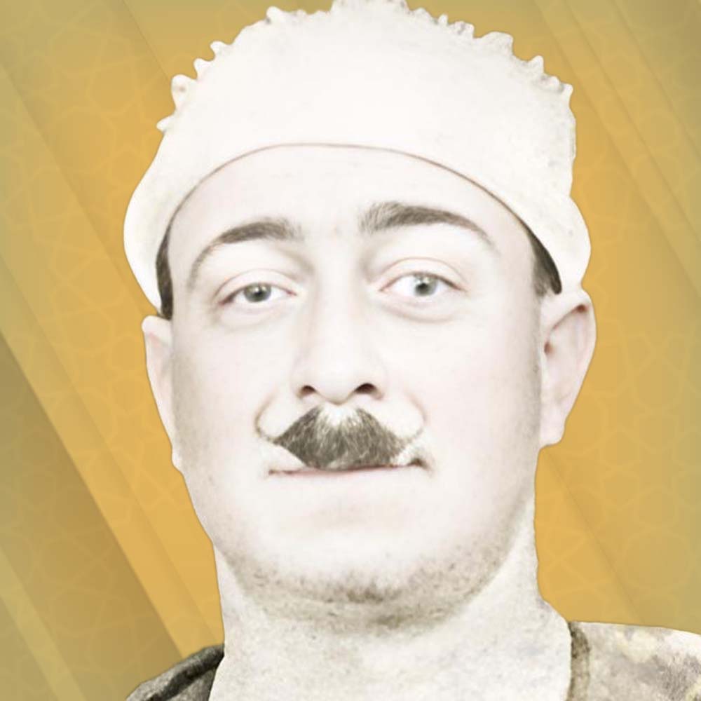 أمين حسنين