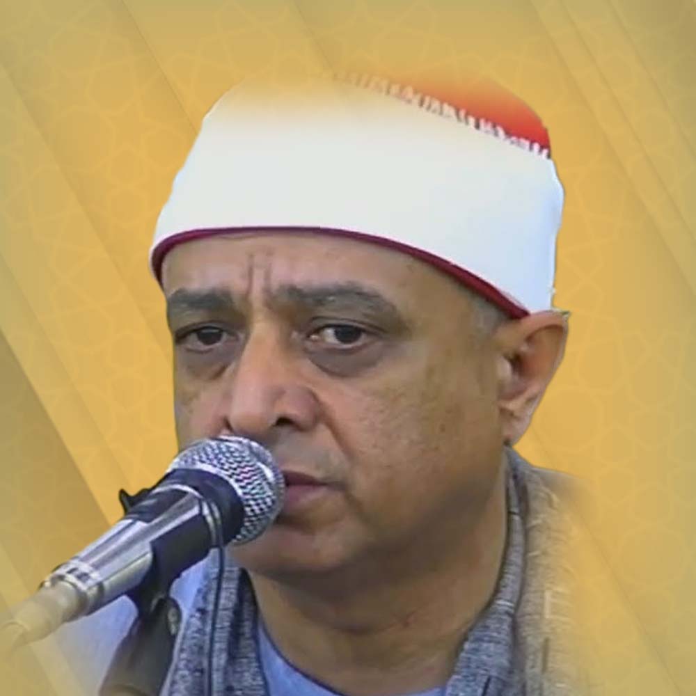 السيد يوسف الهنداوي