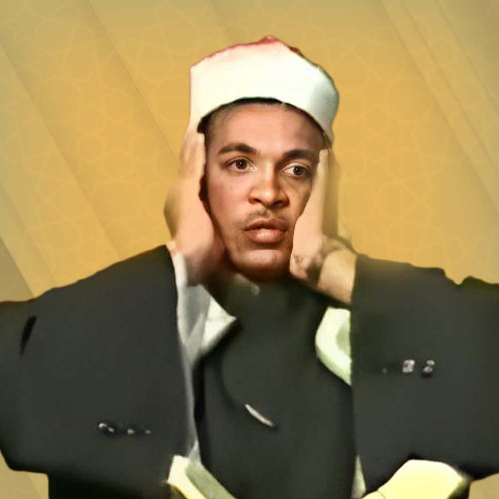 صبري المنشاوي