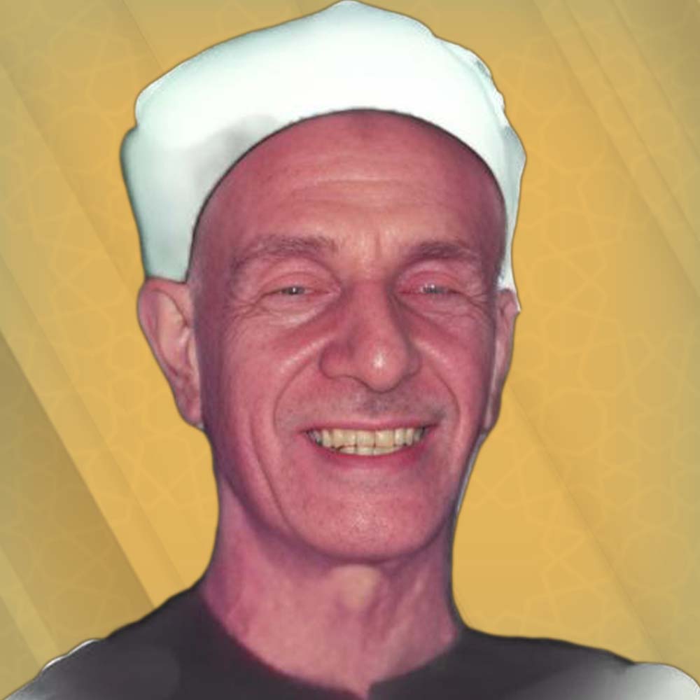 أمين أحمد هلالي