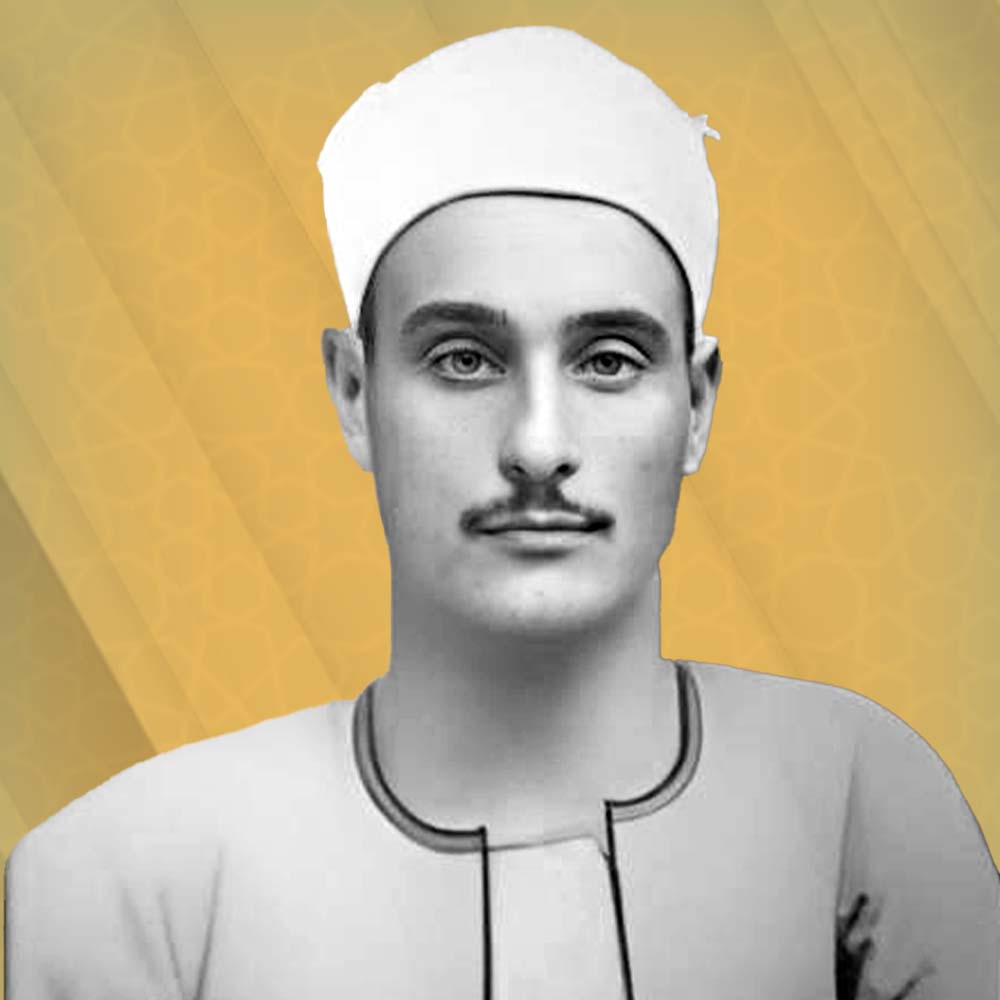محمد مصطفى الجمل