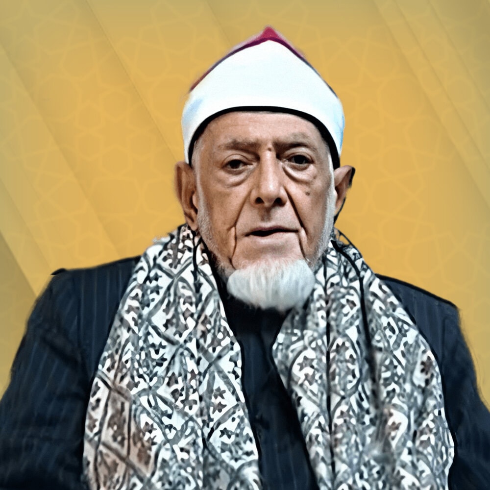 أحمد محمد عامر