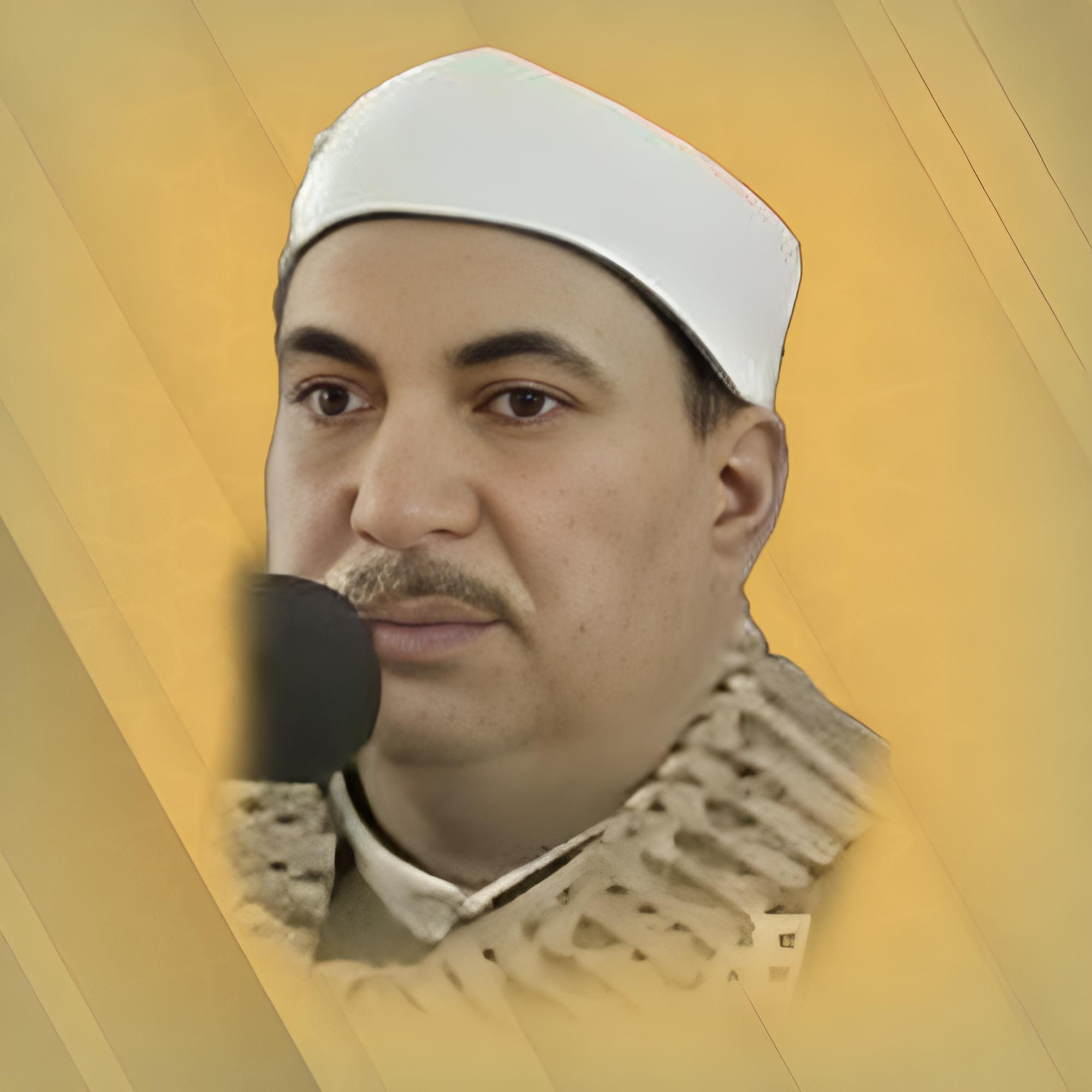 عبدالوارث عبدالعزيز الإمام